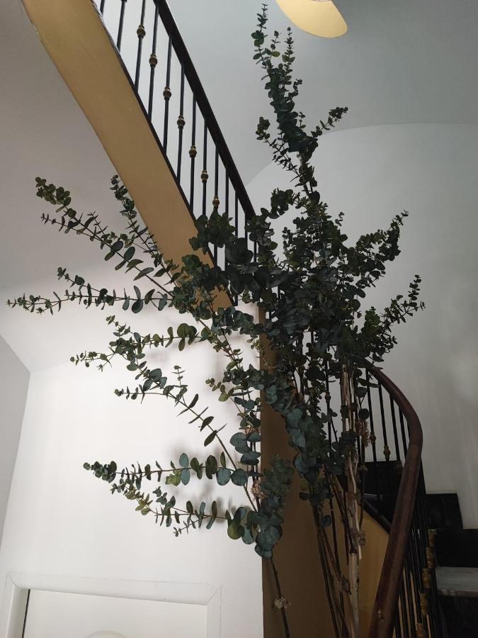 Apartamento Albarino 23 Novelda Zewnętrze zdjęcie